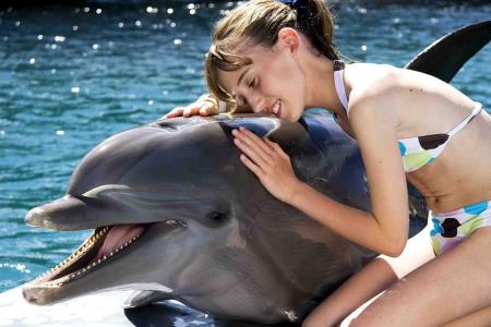 Confresi Palm Beach & Spa Resort - Play with the Dolphins